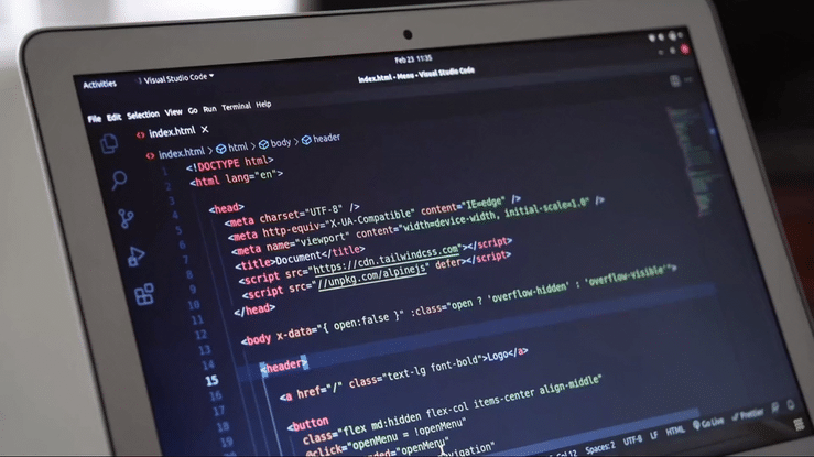 Optimisation du site